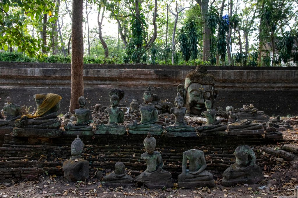 The Rise and Fall of the Dharma