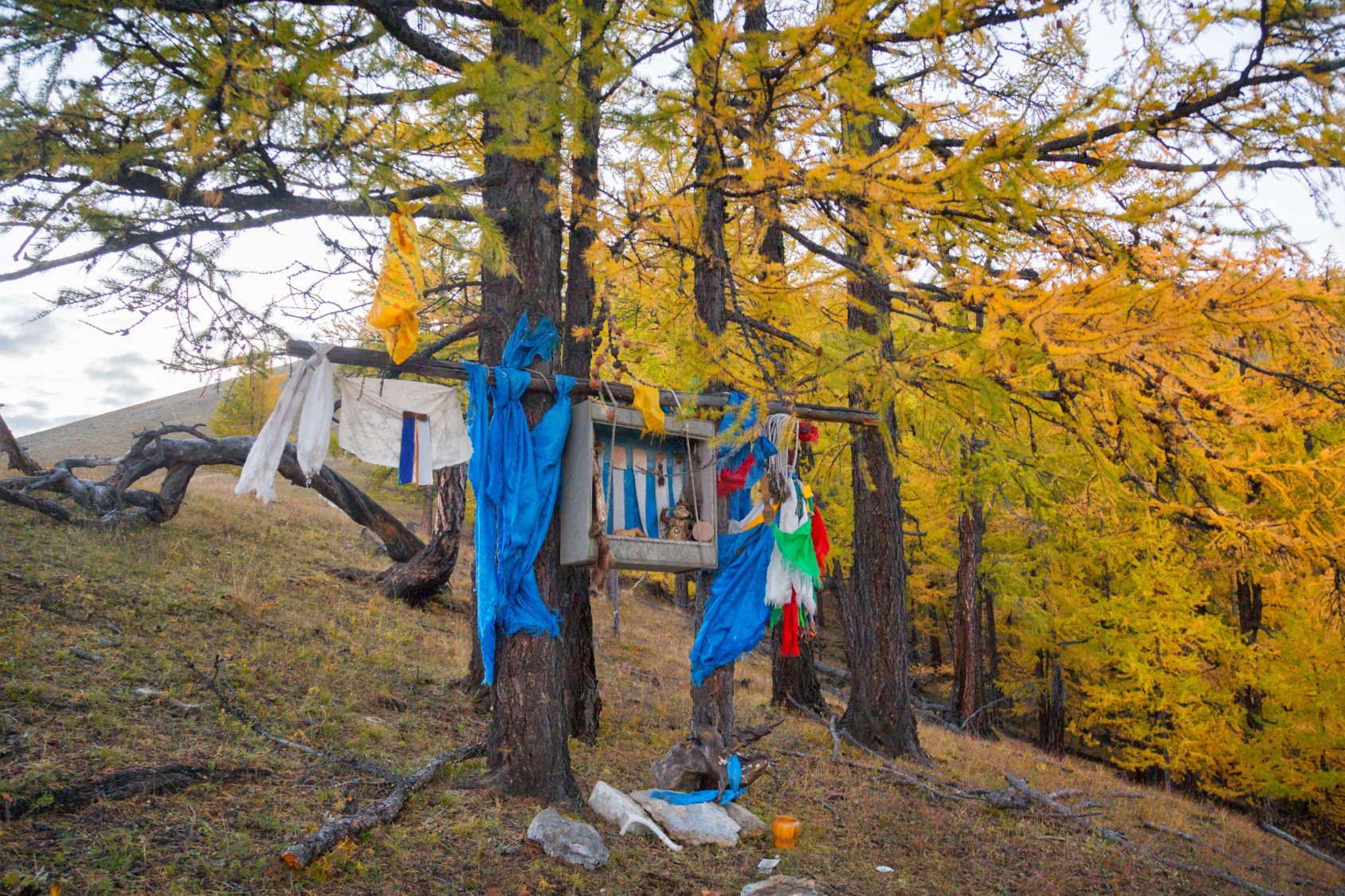 Animistic and Shamanic Elements of Asian Buddhism