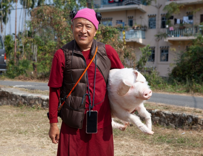 Pig at the Crossing still 6 Khyentse Norbu with Pig