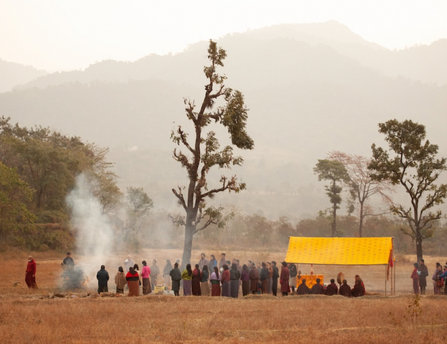 Pig at the Crossing still 8