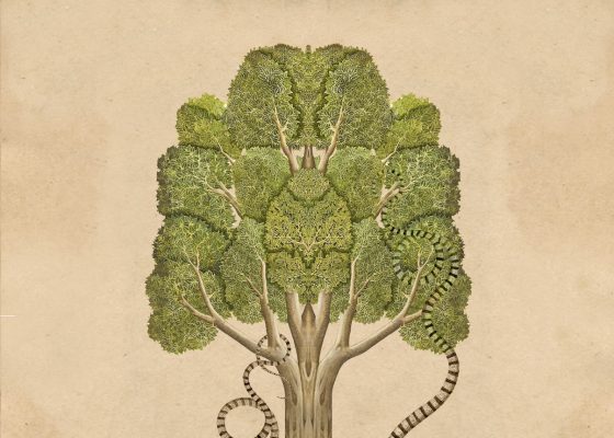 Artistic image of the bodhi tree by Matthew Richardson