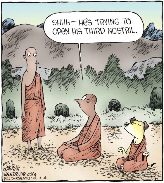 Letters to the Editor Summer 2025