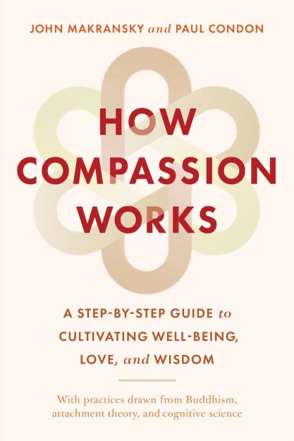 How Compassion Works book cover