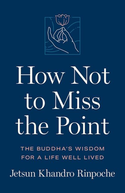 How Not to Miss the Point book cover