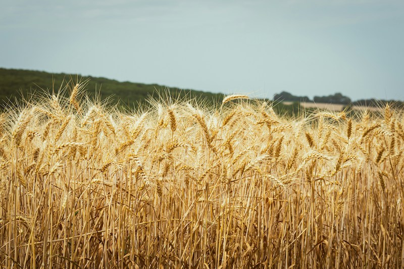 3 Basic Laws of Nature That Can’t Be Ignored