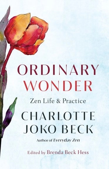 Ordinary Wonder book cover