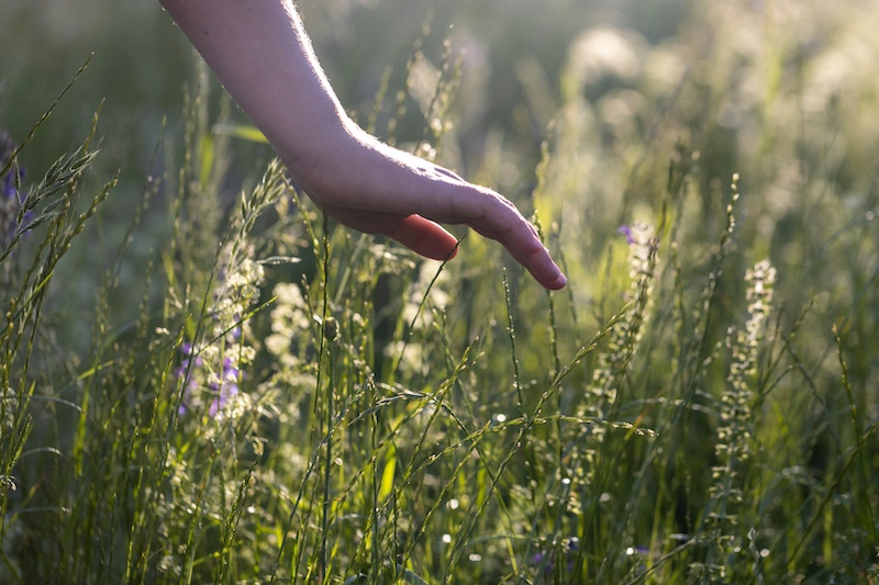 Connecting With the Root of Our Being