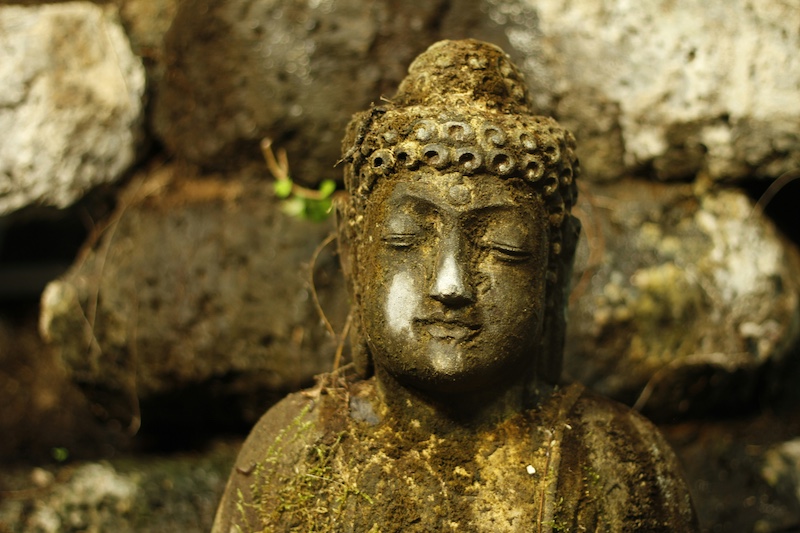 Finding the Person Under the Suffering