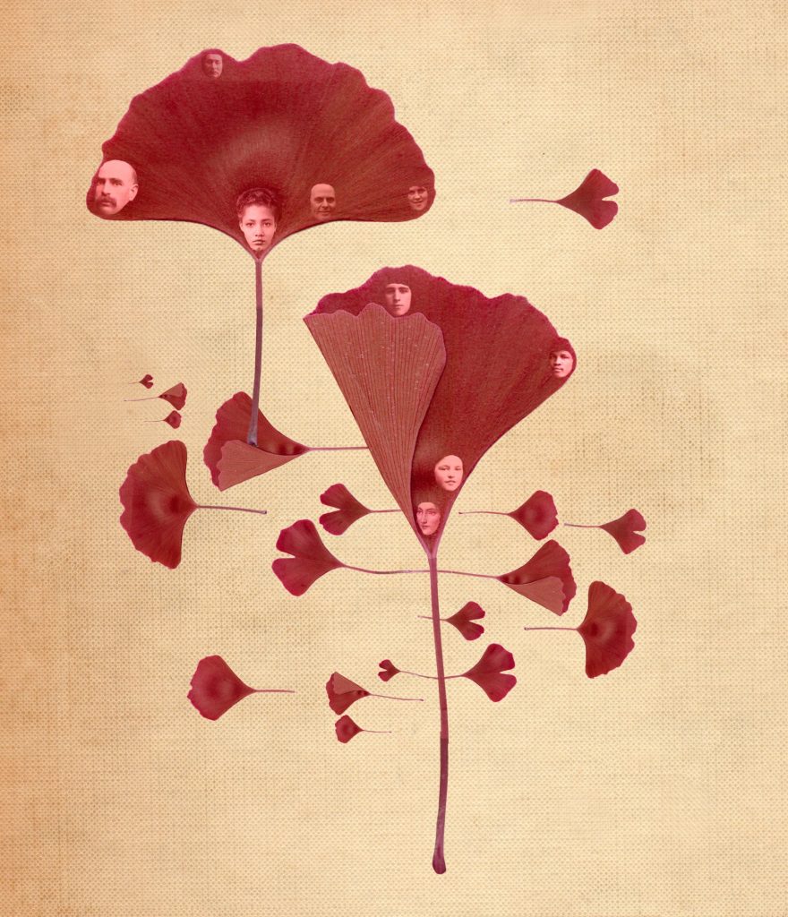 The Mind That Goes Out and Returns