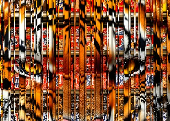 buddhism ocd reflection