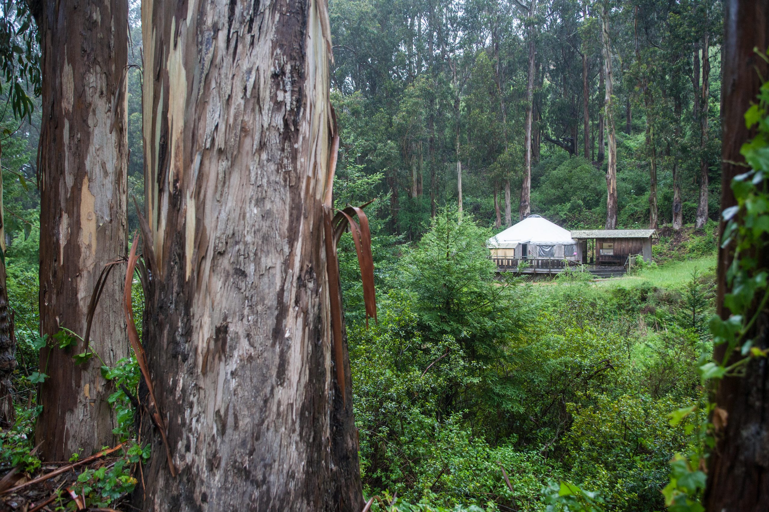 Guidelines for Entering, Abiding, and Departing Long Meditation Retreats and Sesshins