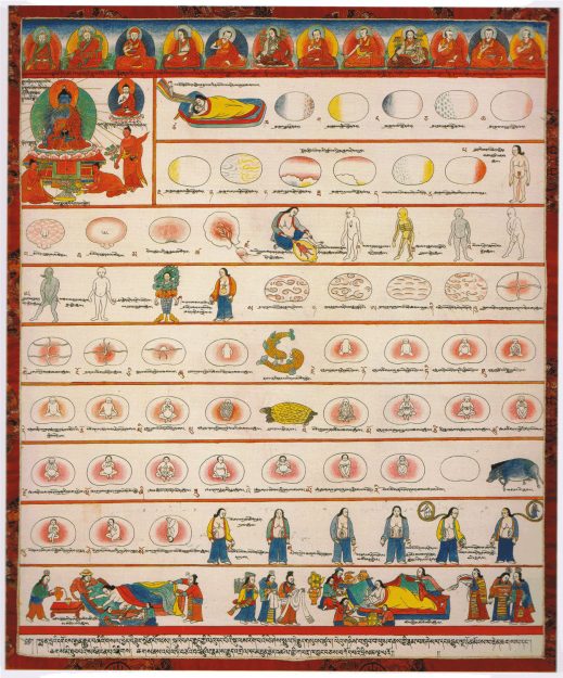 Illustration (Conception to Birth)