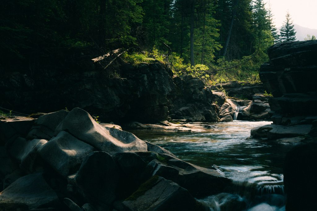 What Does Stream-Entry Mean?