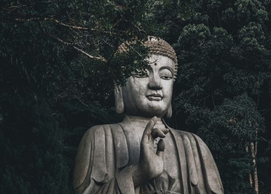discipline buddhism stoicism