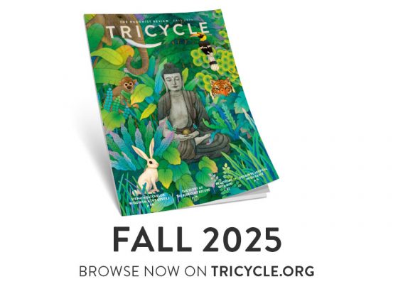 Letter from the editor Fall 2025