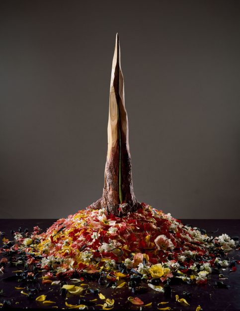 Kosen Ohtsubo's 'Flower Planet' - Tricycle: The Buddhist Review