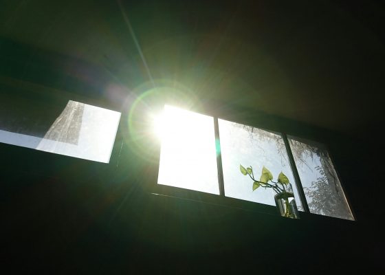sunlight coming in through a window
