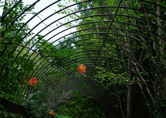garden arbor