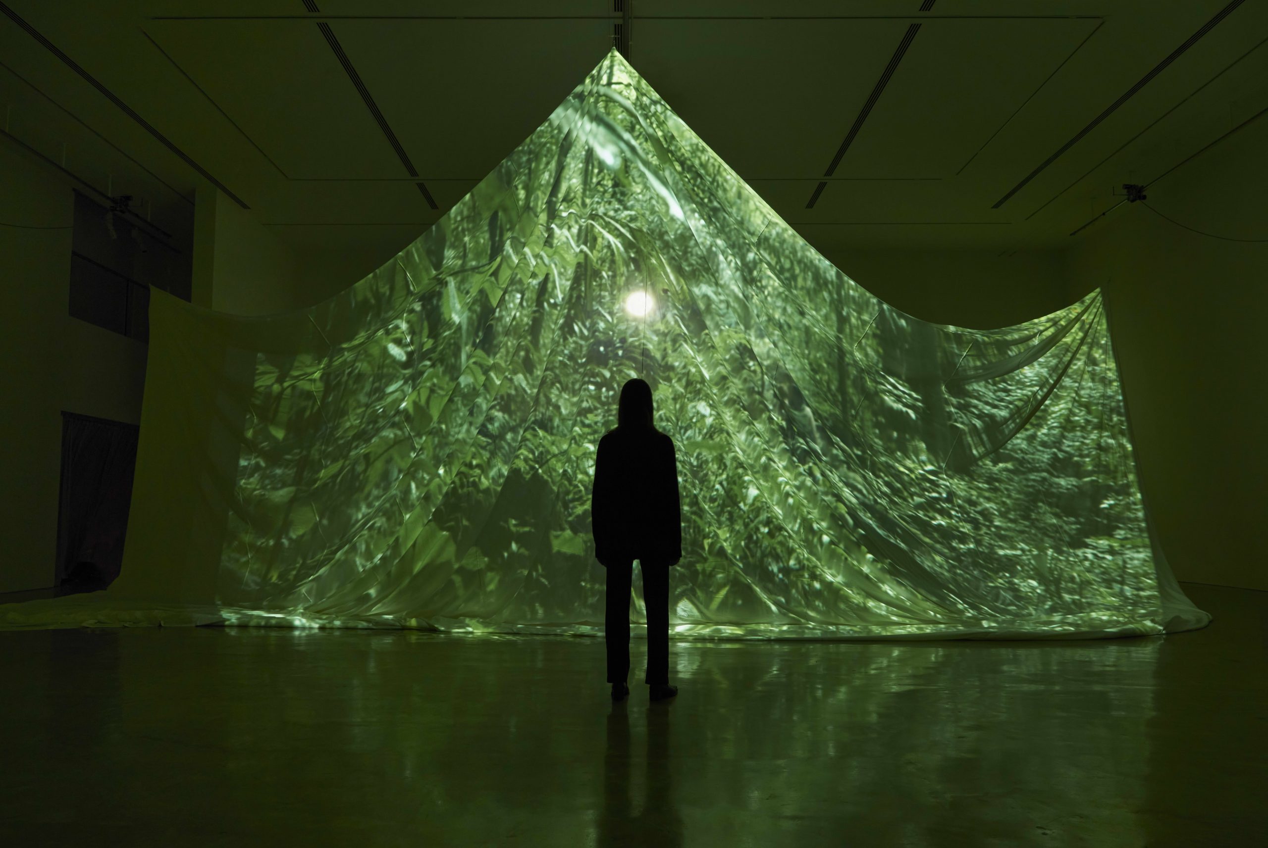 ‘A Conversation with the Sun (Afterimage)’