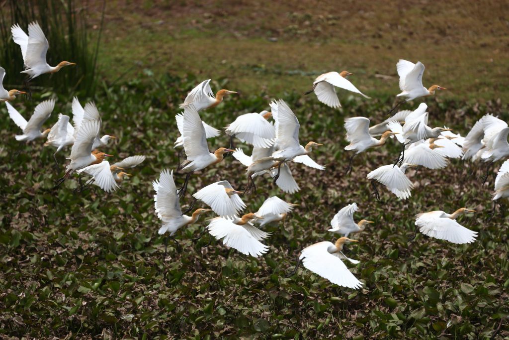 ‘Being and Time’ and Other Poems