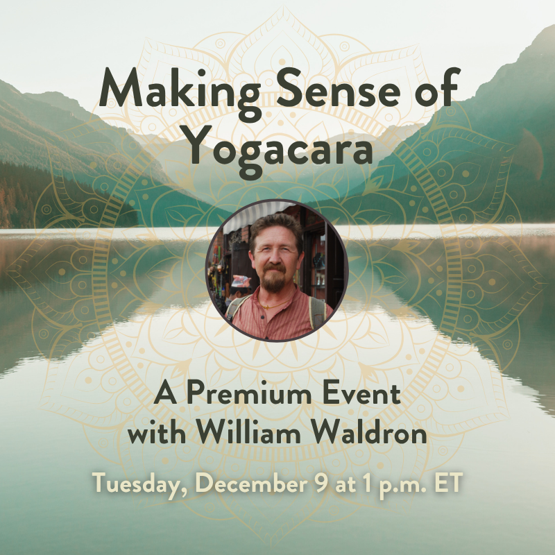 Making Sense of Yogacara: A Premium Event with William Waldron