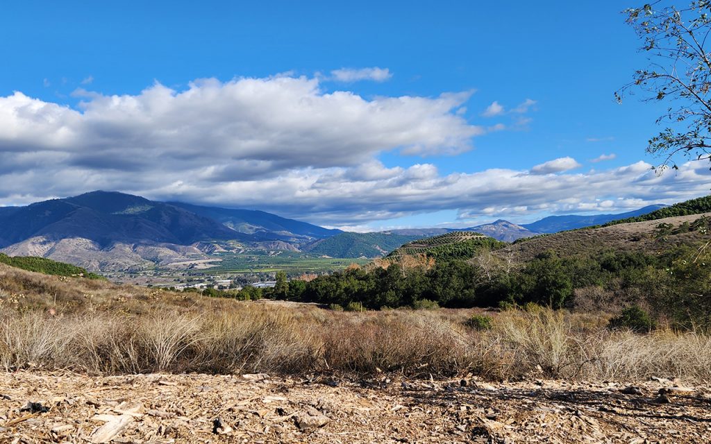 A Heart Bigger Than the World