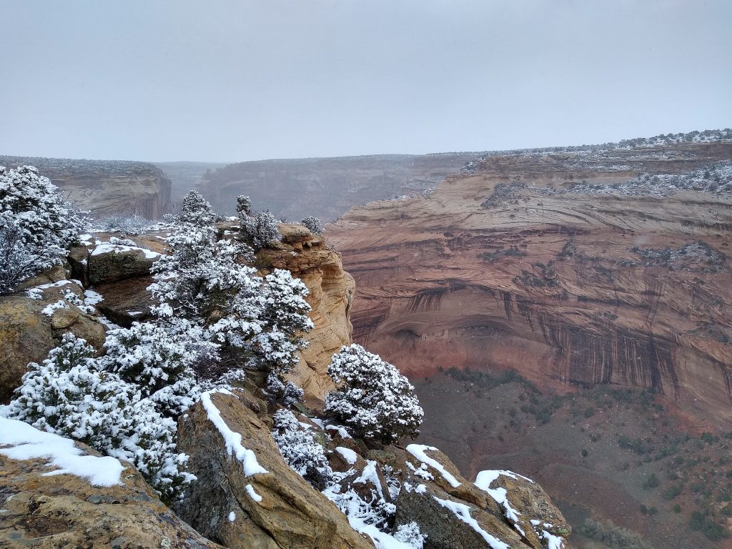 The Generosity of Offering the Body