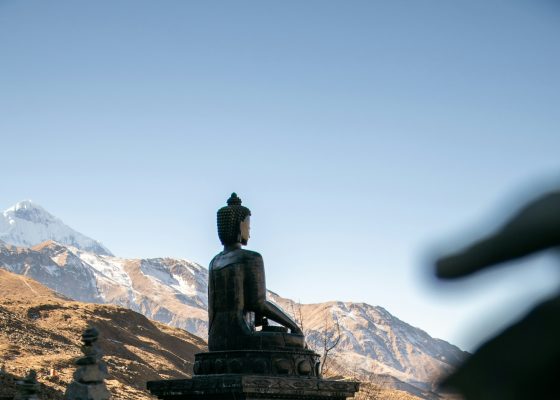 donald lopez stephen batchelor