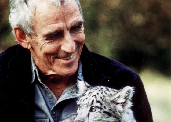 Peter Matthiessen biography