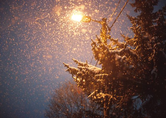 snow falling Charlotte Joko Beck