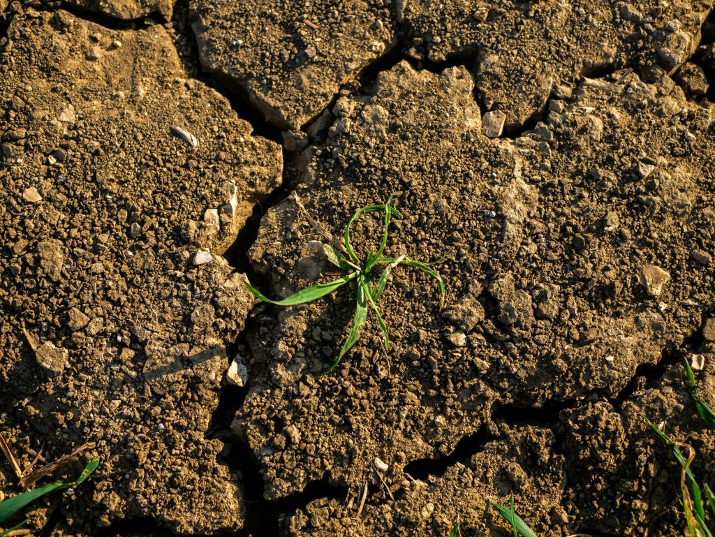 Tending the Practice-Ground