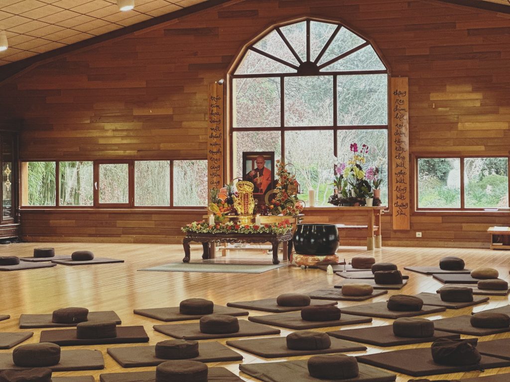 To Meditate Is to Be Alive