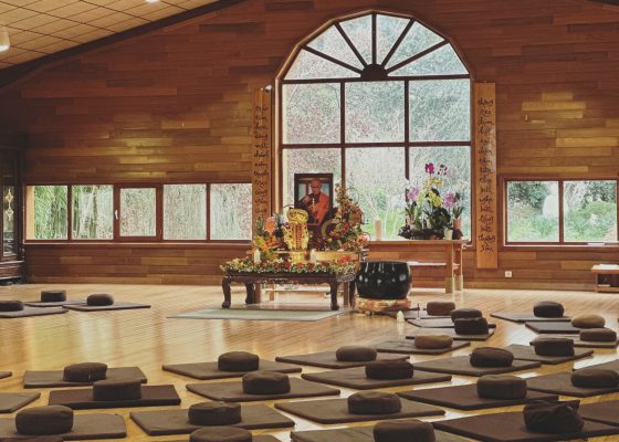 brother phap huu meditation