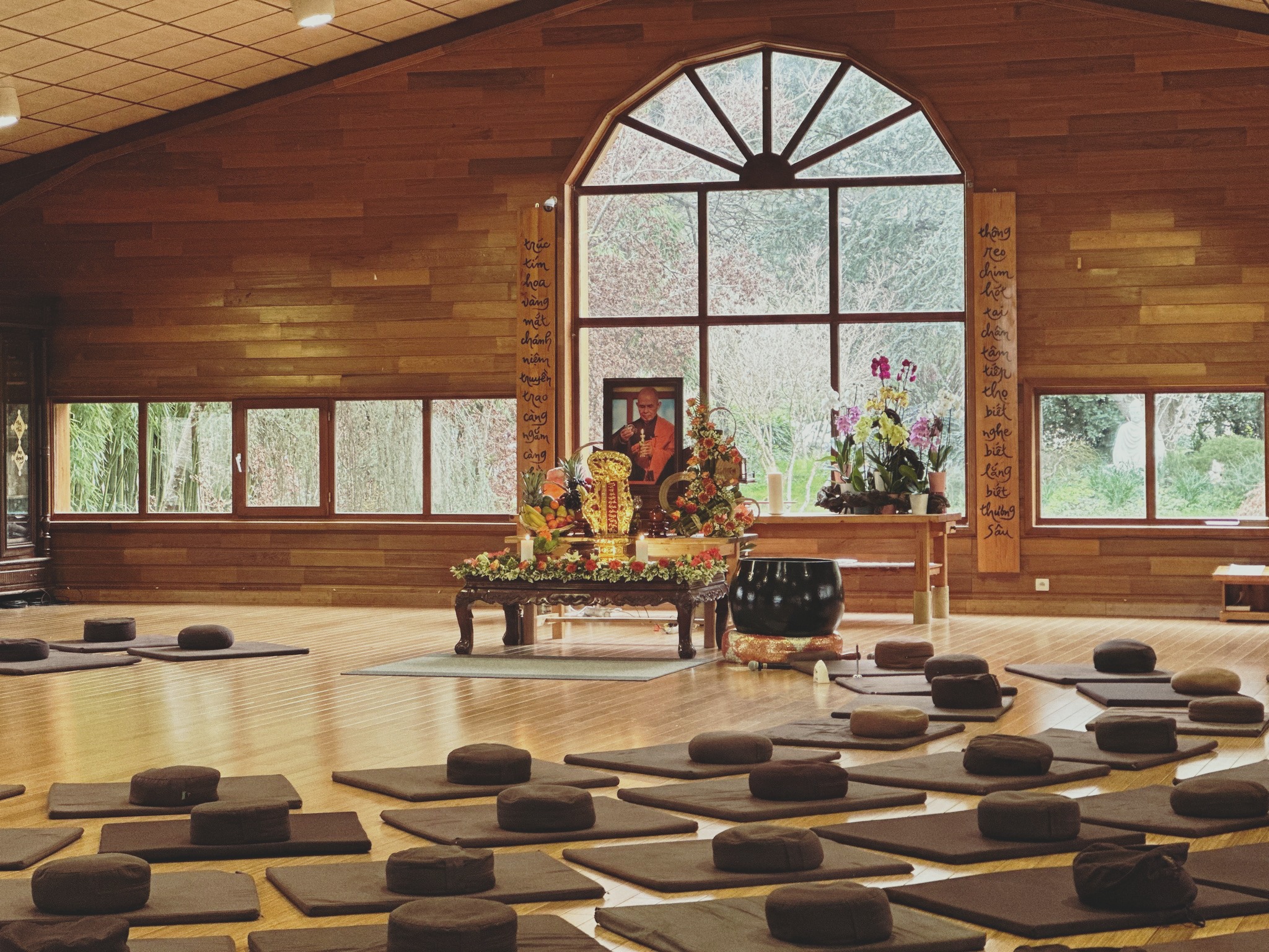 To Meditate Is to Be Alive