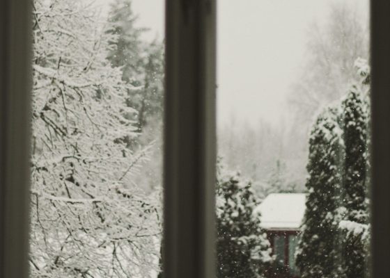 marie mannschatz emotion