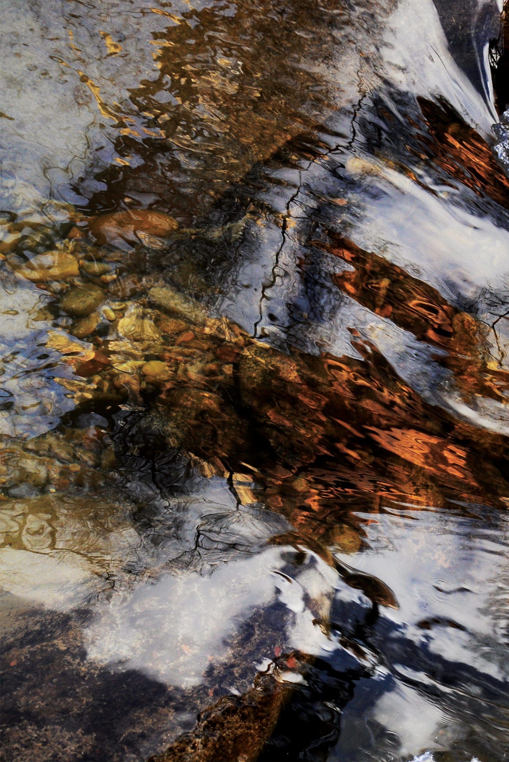 To Feed Is to Suffer