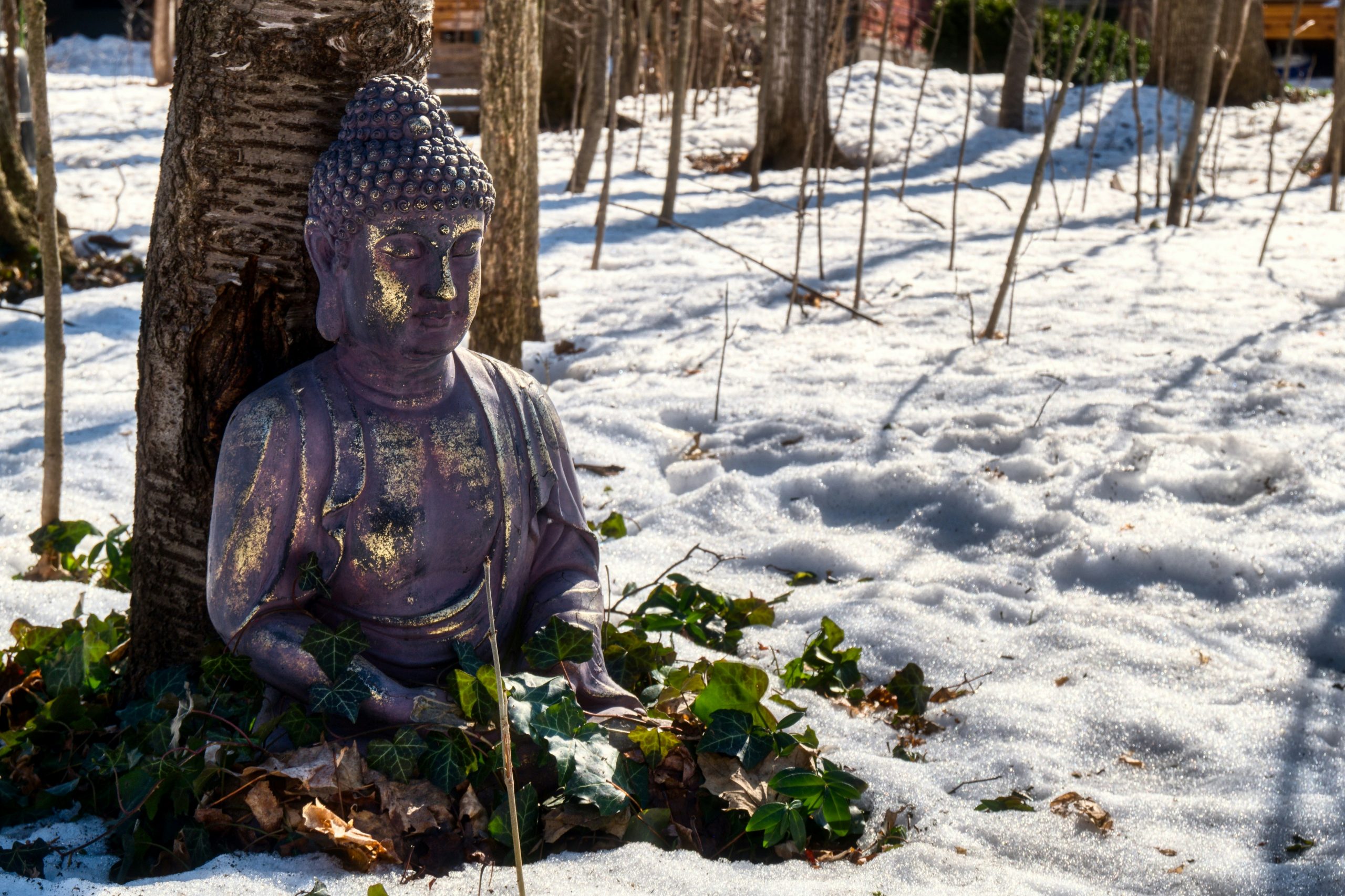 Grasping Way, Granting Way