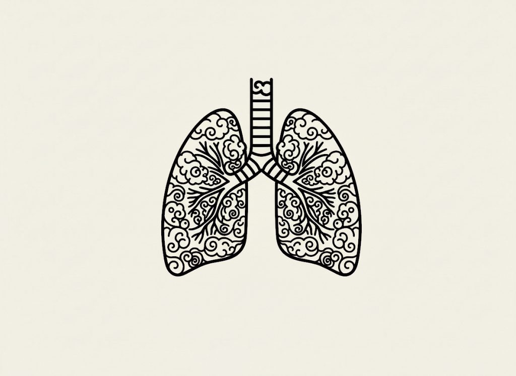 To Meditate Is to Be Alive