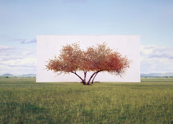 seeking refuge burnout