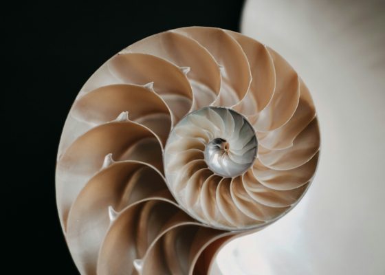 buddha teaching maria heim