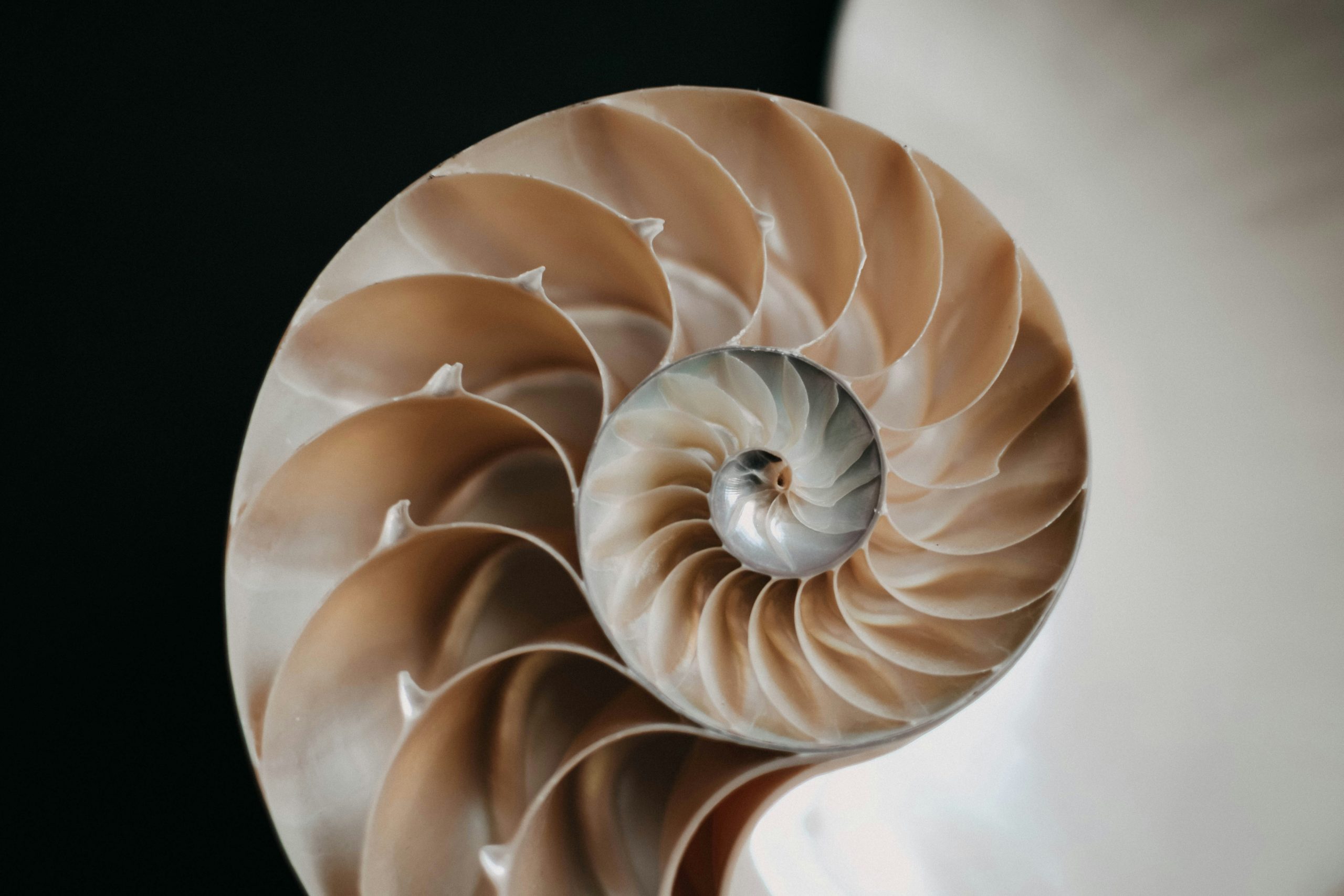 An Upward Spiral