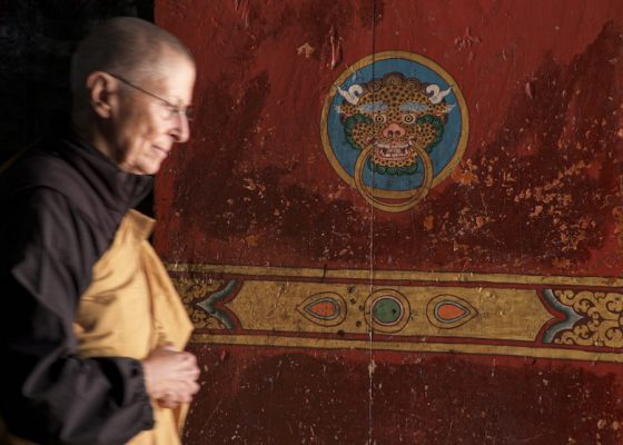 Roshi Joan Into the Heart of the Mountain