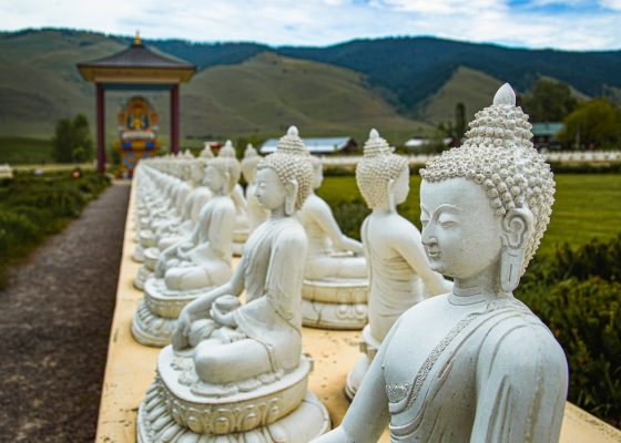 piver enneagram buddhist