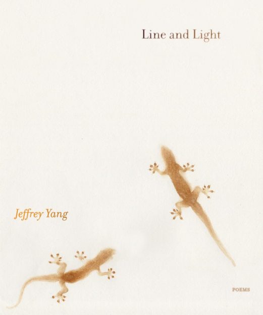 jeffrey yang line and light
