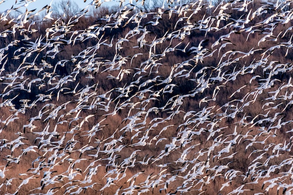 ‘I often recall’