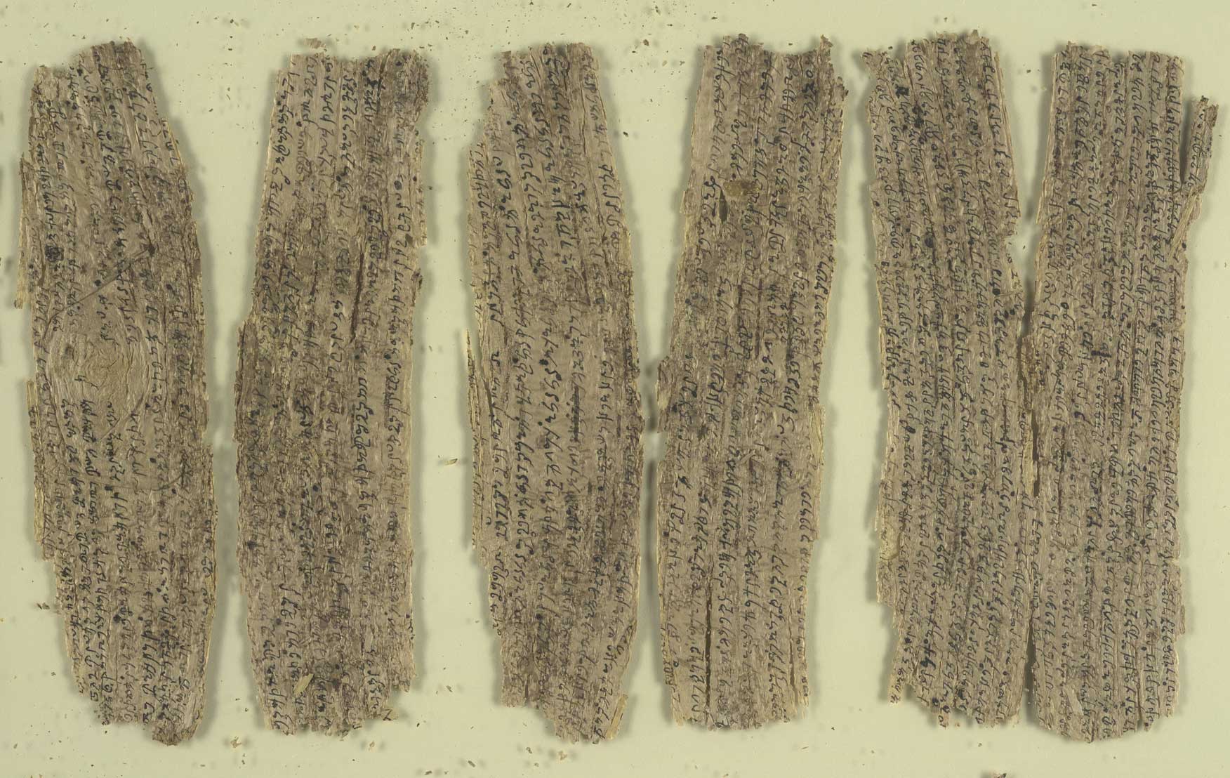From the Academy: Diacritics and Translation