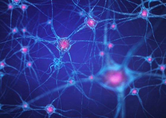 buddhism somatic experiencing beth roth image of neural network, brain cells, human nervous system