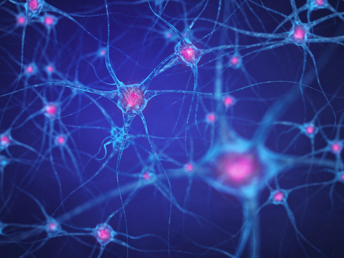 The Dharma of the Nervous System