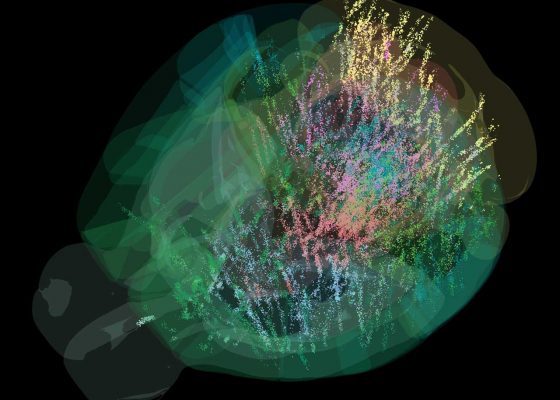abhidharma basics brain map