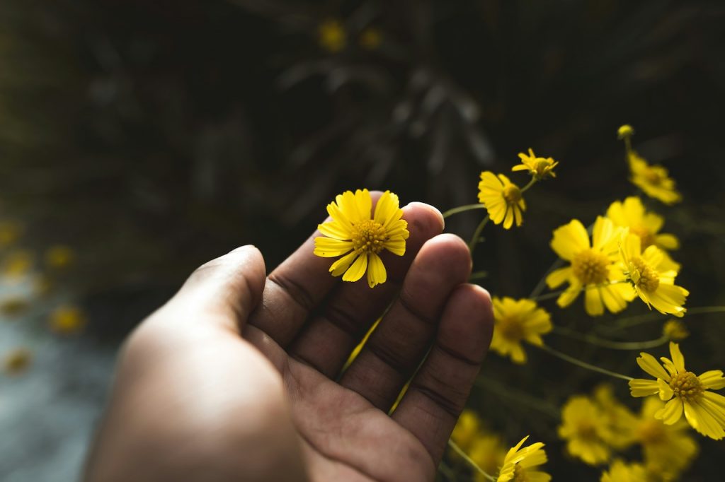 Holding Your Pain